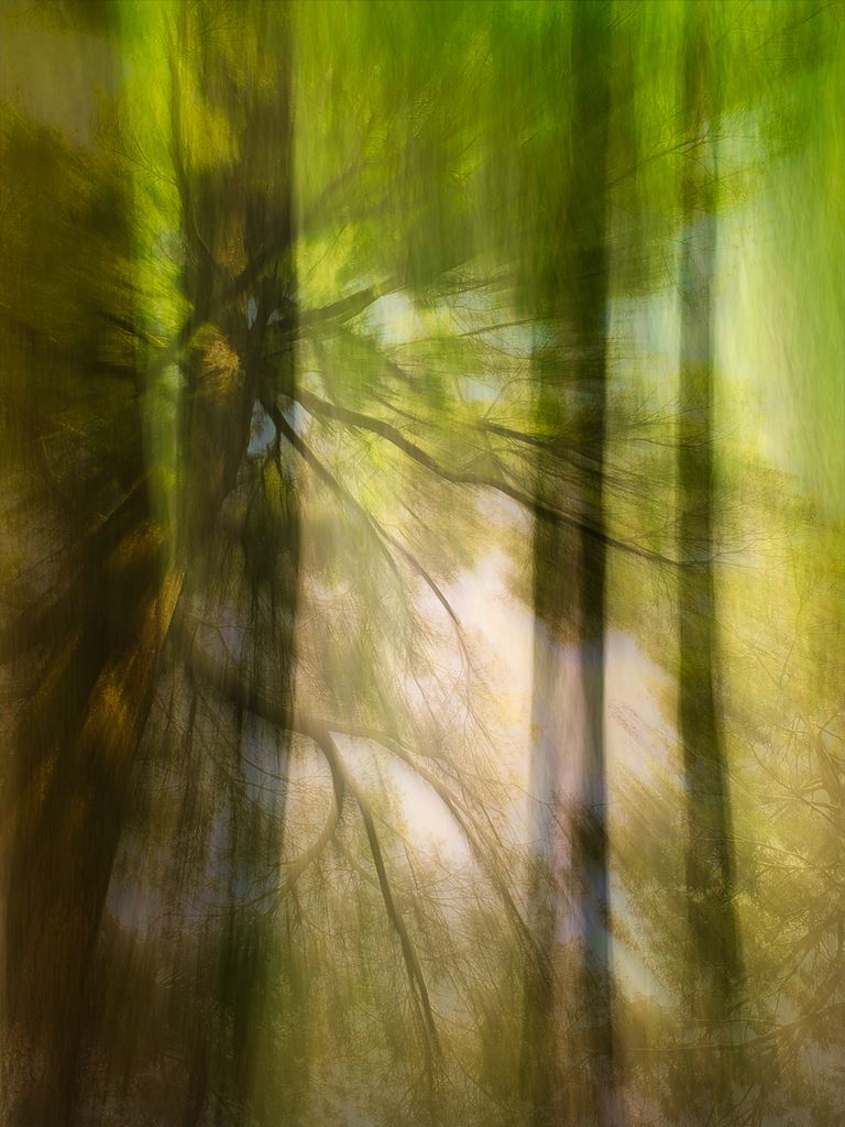 First Light