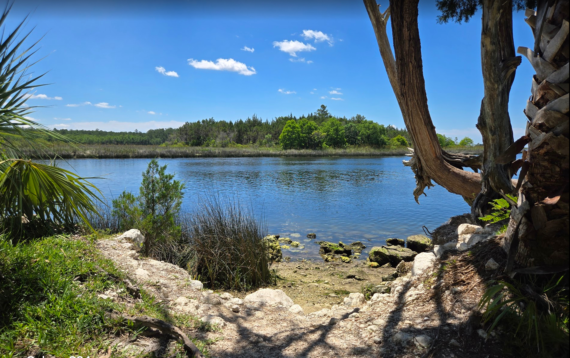 St marks water