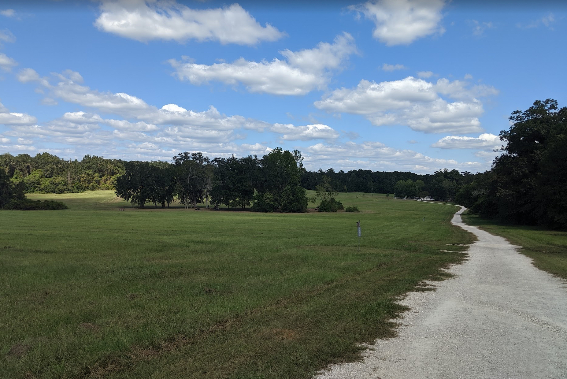 Miccosukee greenway 2