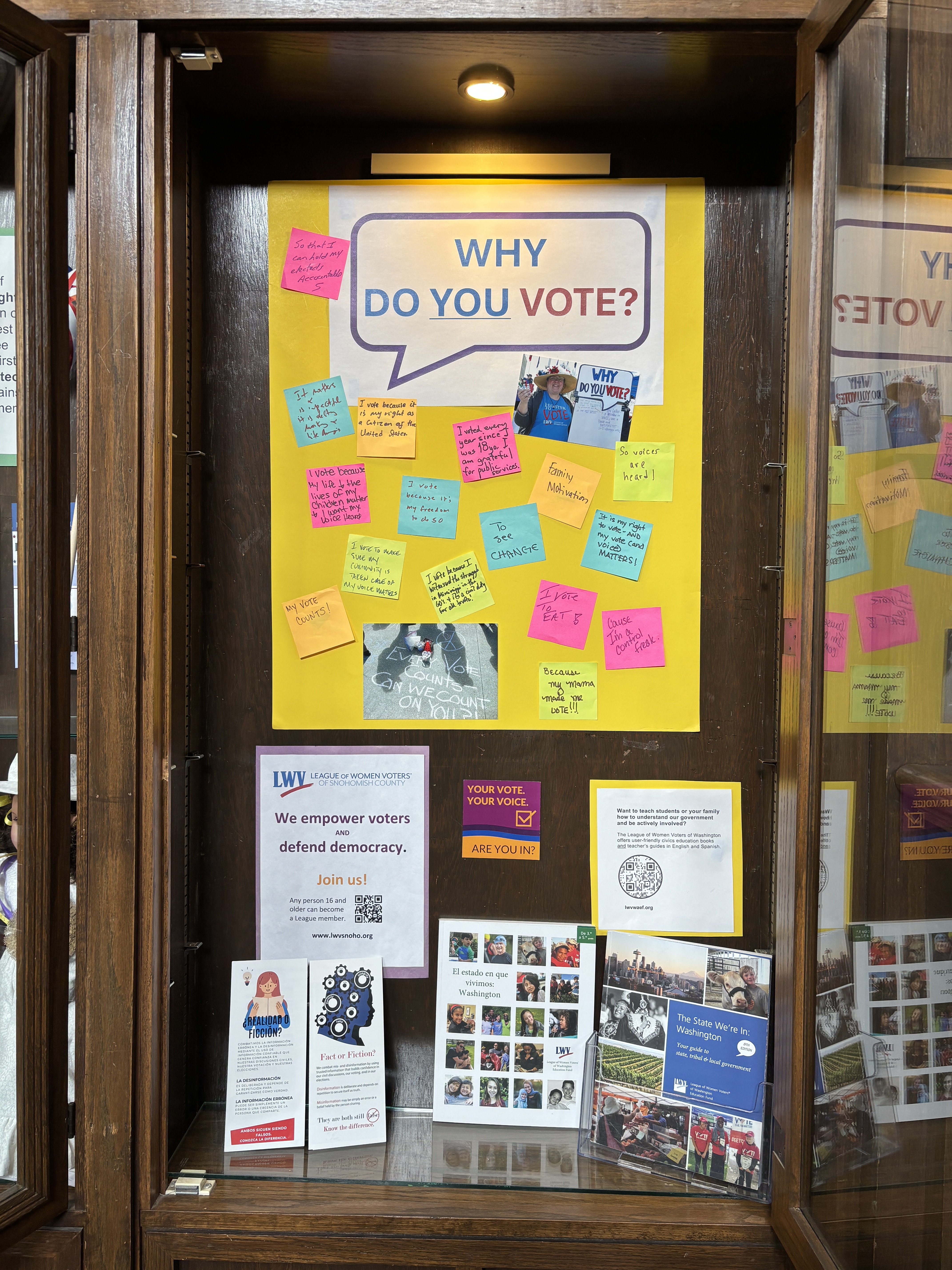 Everett Library Display Case 2