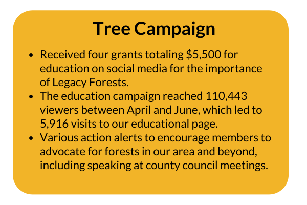 trees.png