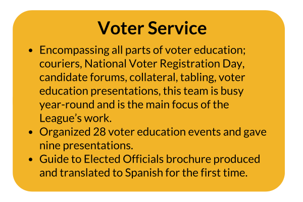 voter_service.png