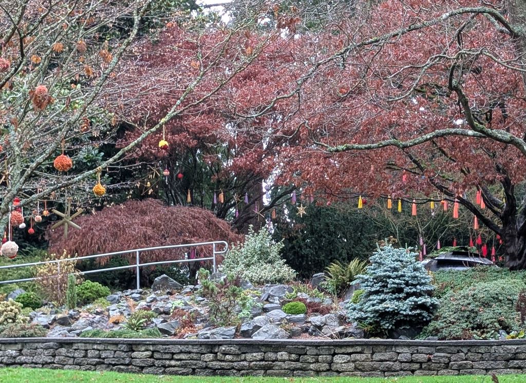 Everett Arboretum