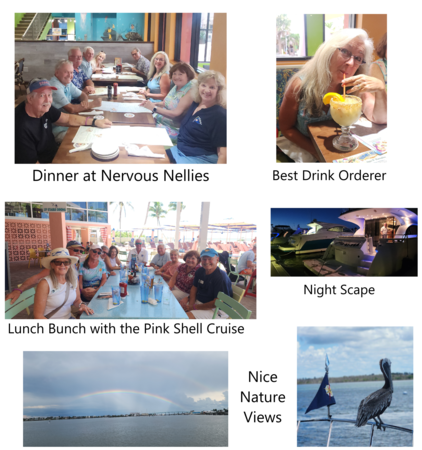 Pink_Shell_Cruise_August_2025