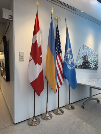 20260121 v flags (edited)