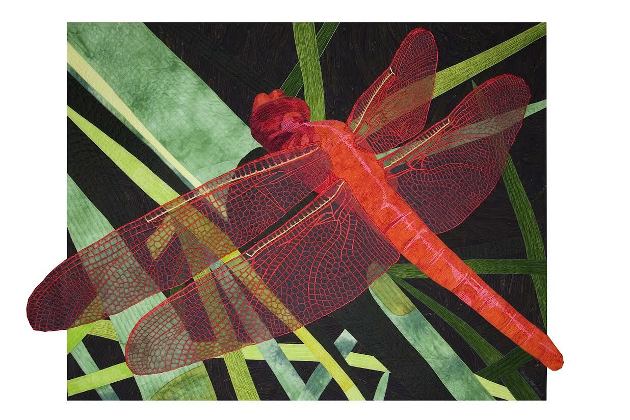 November 2025 Tonya Littmann Dragonfly