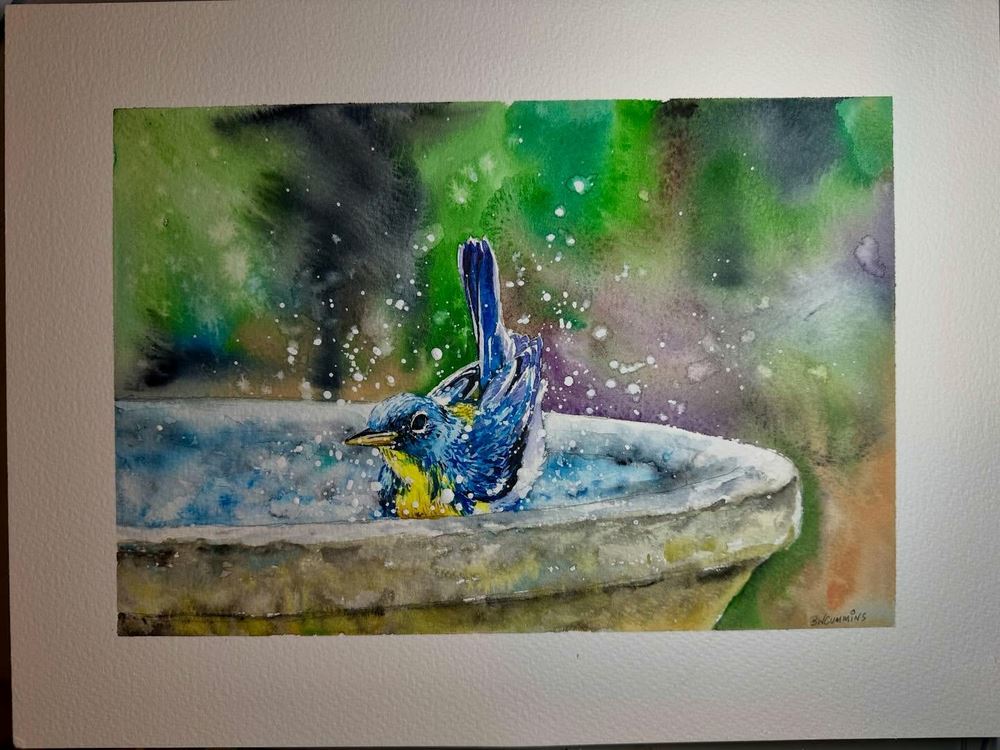 Brett Cummins Bluebird in Birdbath