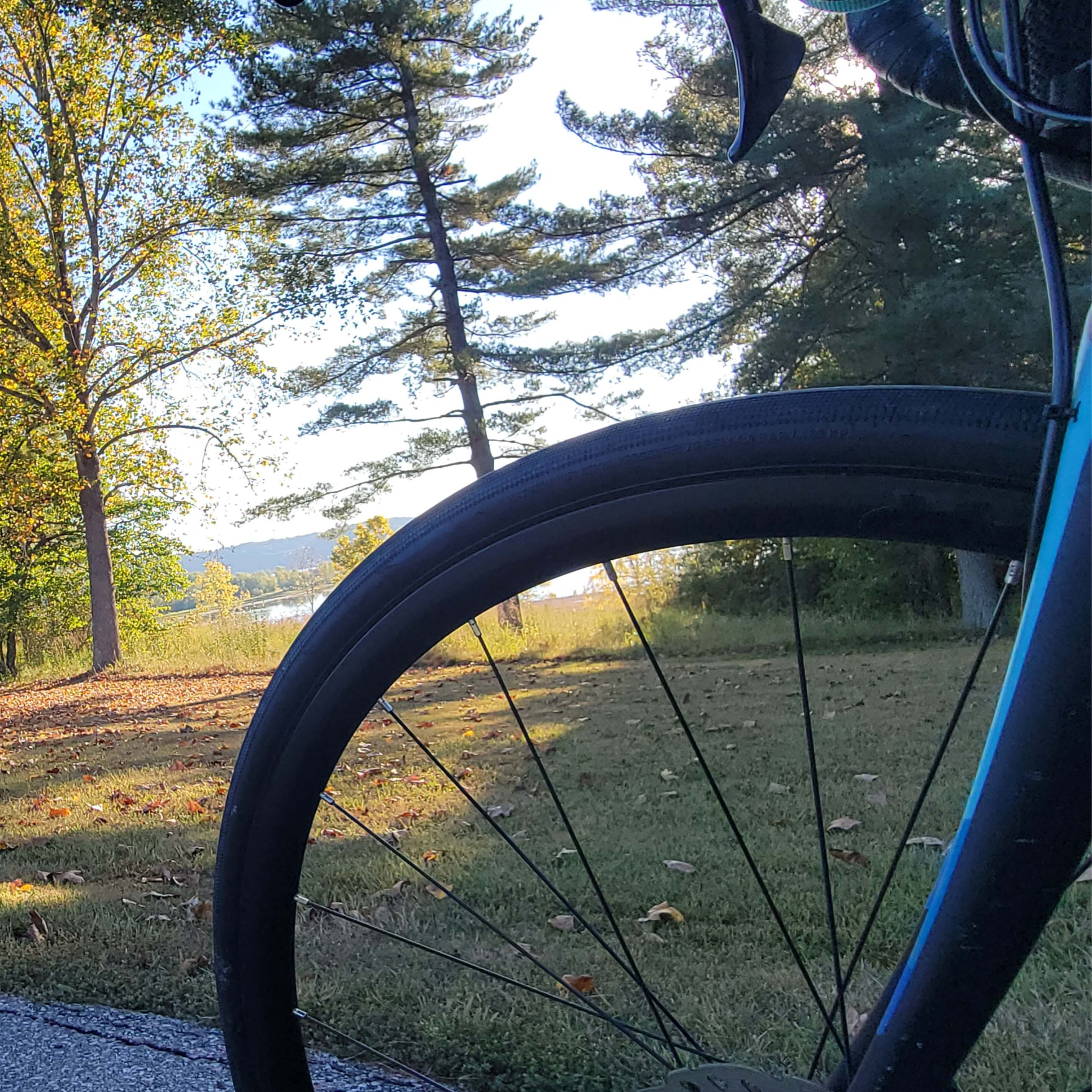 Wheel_1x1.png