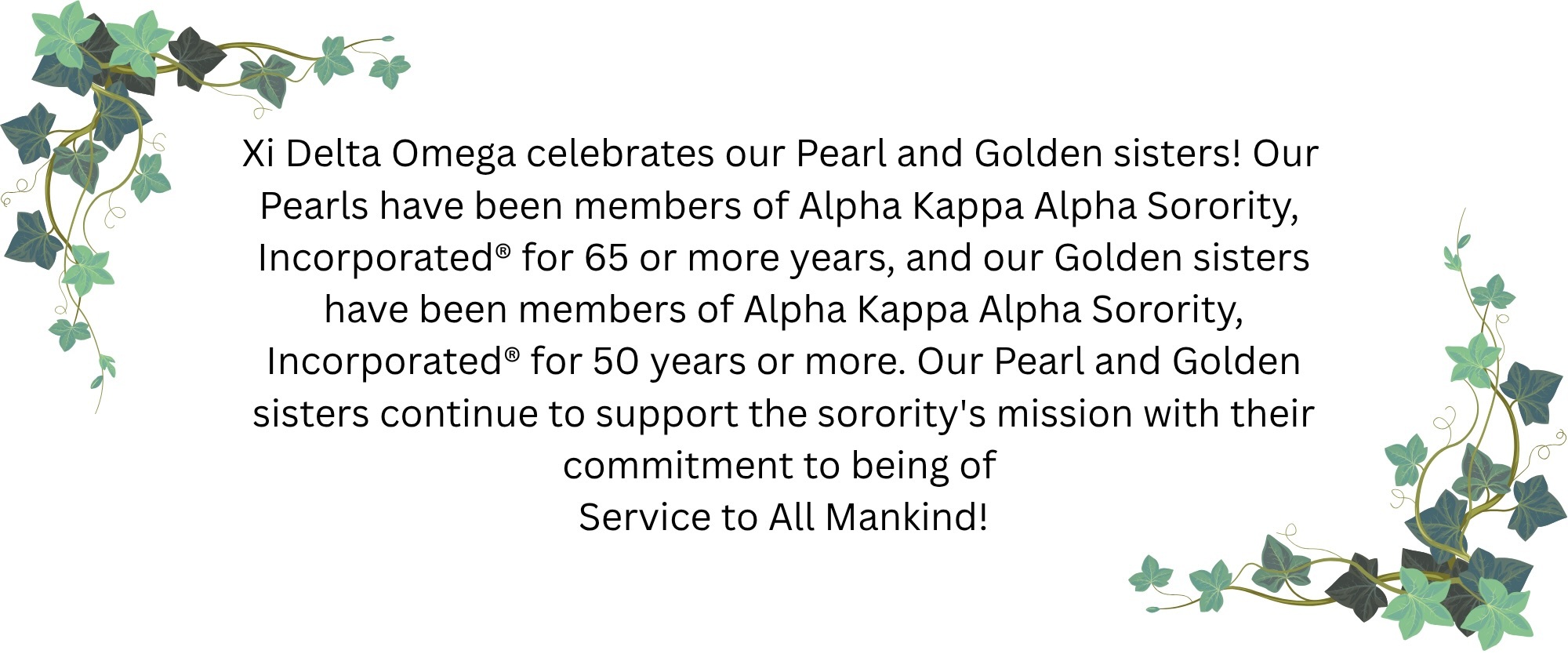 pearl_and_golden_banner.jpeg