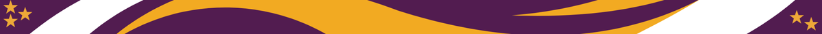 Purple_Gold_Divider_1200x50_11-26-2025.png