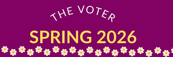 Spring Voter 2026 Banner