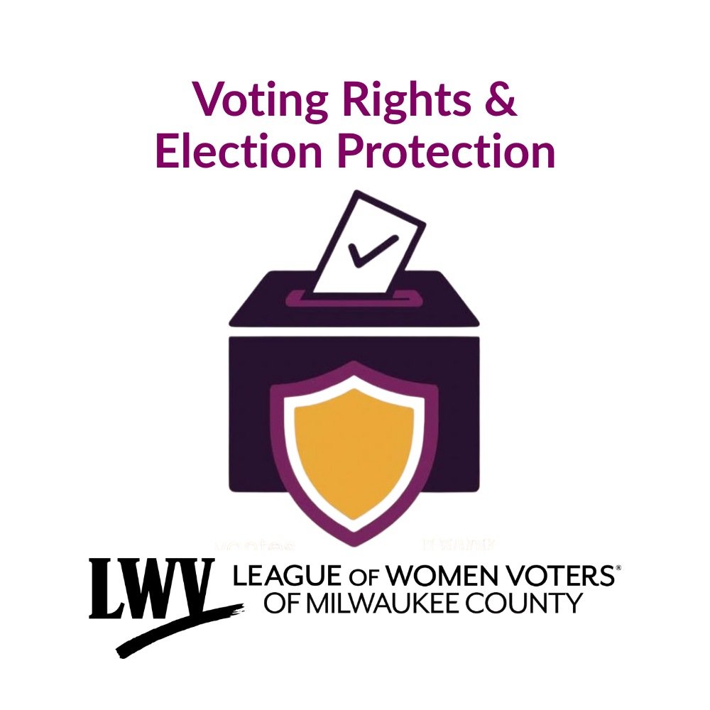 Voting Rights & Election Protection Logo 2026
