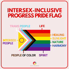 LGBTQ flag meaning 2-27-2026