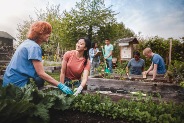 Group community garden