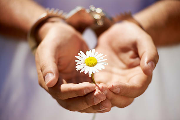 Mass Incarceration empower