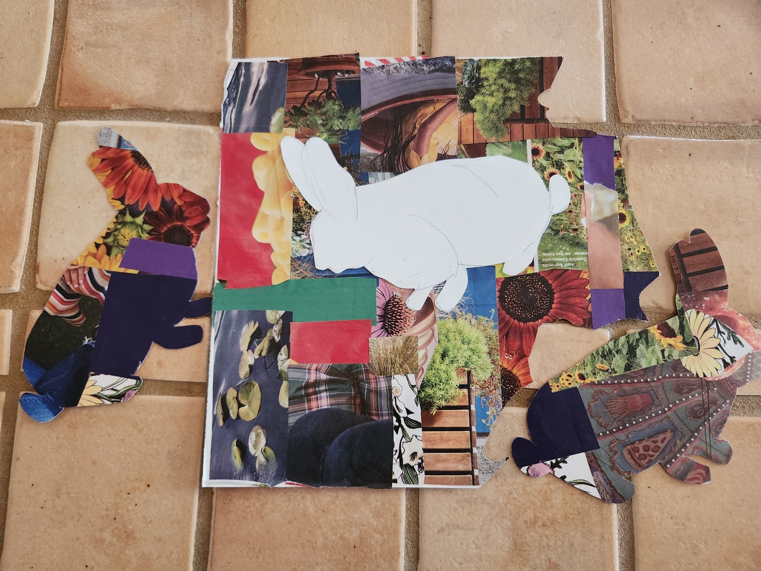 Animal Collage