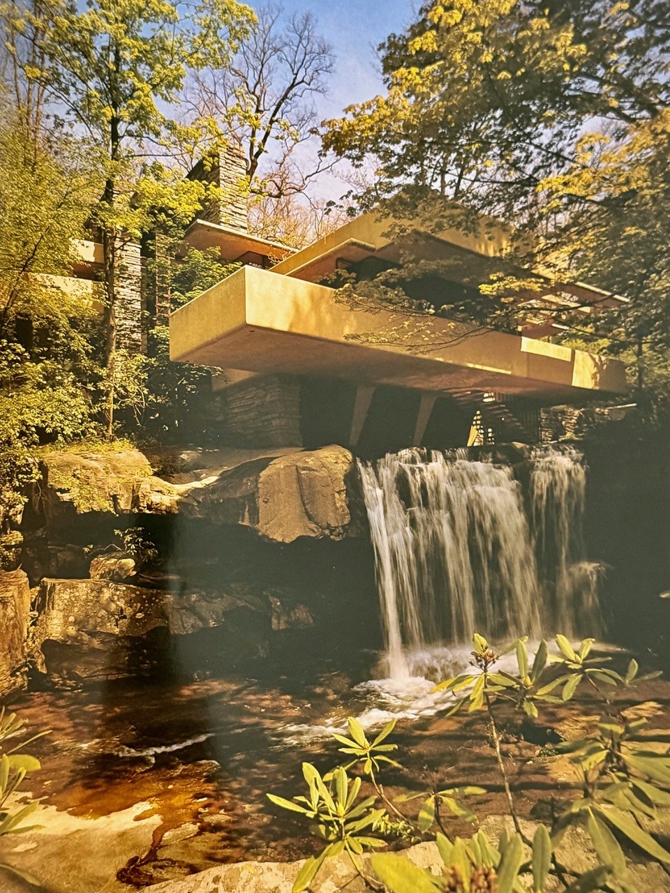 March_2026_Salon_Frank_Lloyd_Wright.jpeg