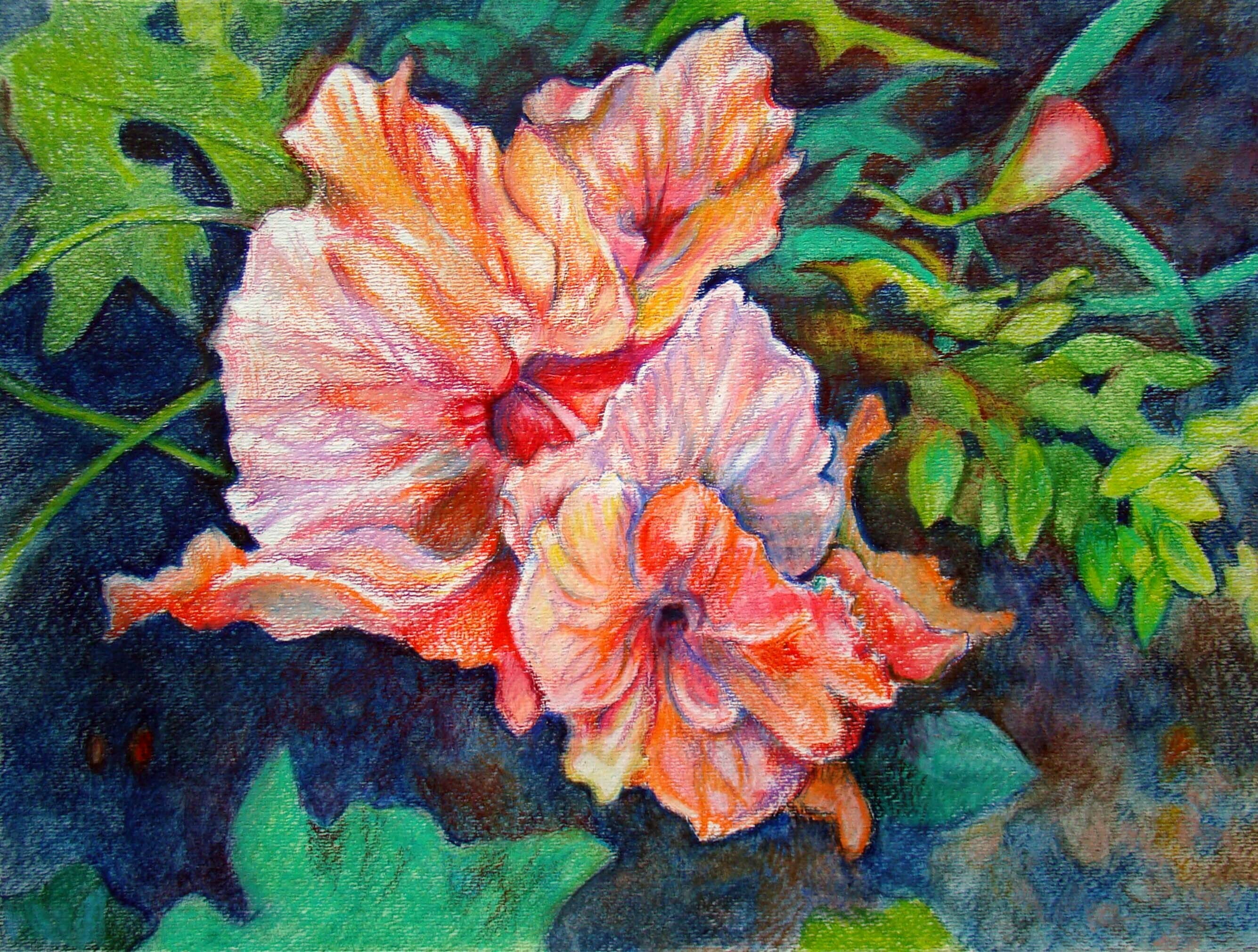 Shanahan Colored Pencils March 2026