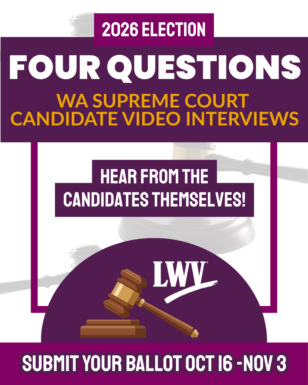 Supreme_Court_Interviews_Nov2026_Election.png