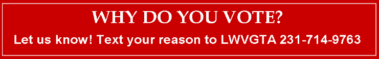 WhyDoYouVote.png