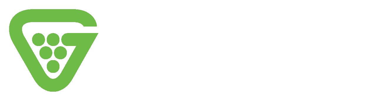 Grapevine_MSP_Technology_Services_Logo.png