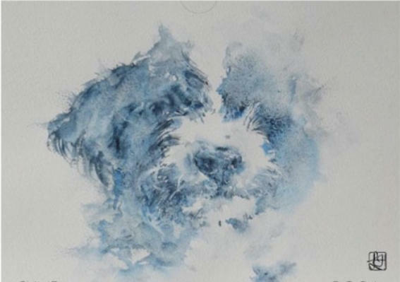 2026-06_wrkshp_Watercolour_Pets.jpg