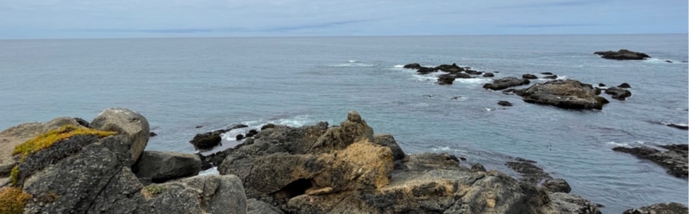 Coastal Scene near Pescadero