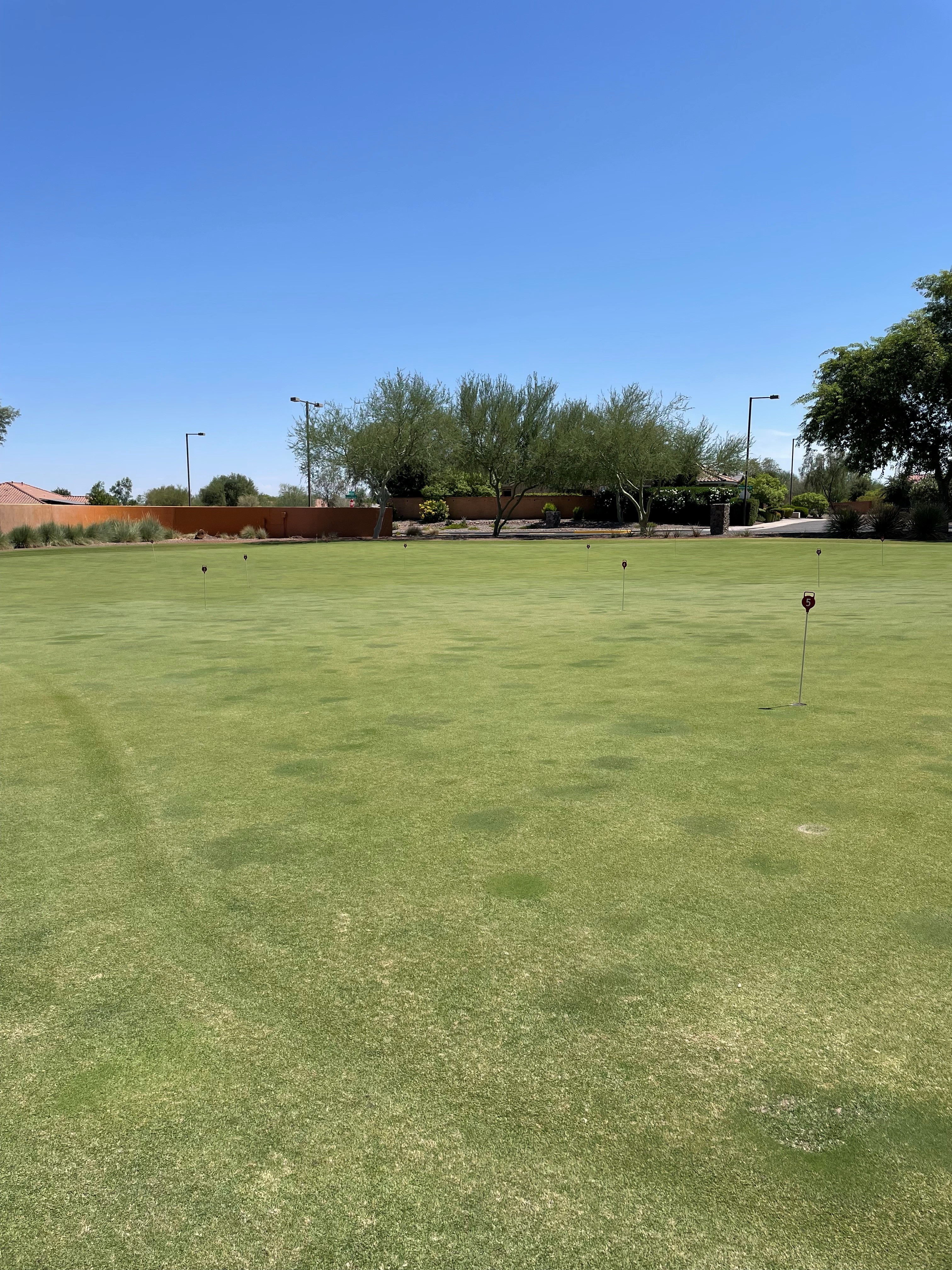 Lady Putters Green