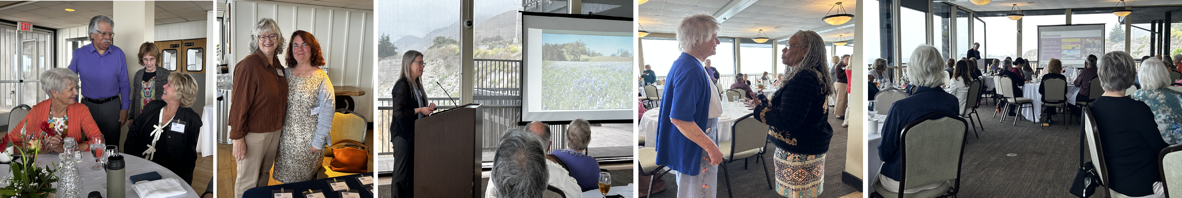 Spring Meeting Collage