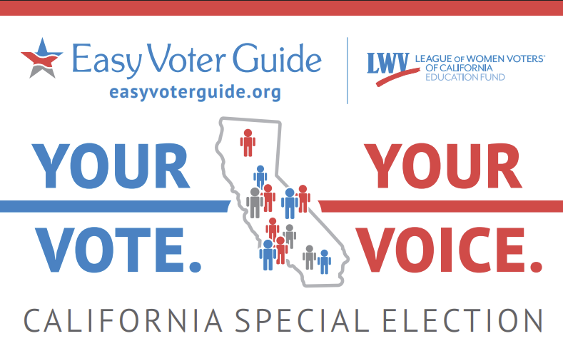 Easy Voter Guide Image 11.4.25
