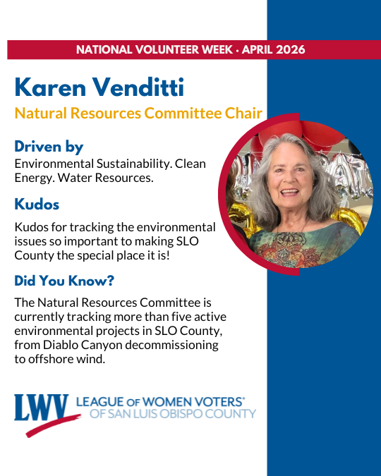 Karen Venditti Spotlight