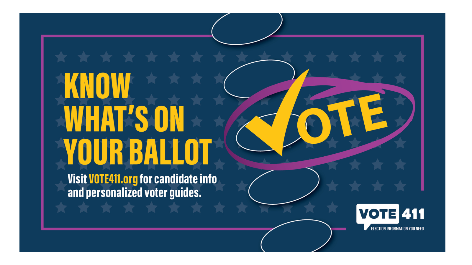 VOTE411.org image