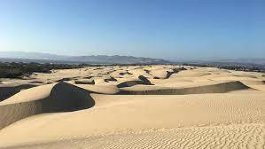 lwvslocooceanodunes.jpg