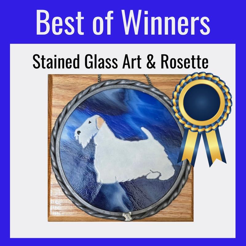 ASTC 2026 Best of Winners