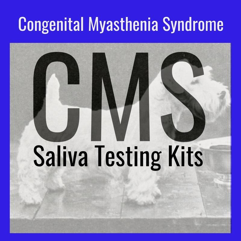 CMS Test Kit