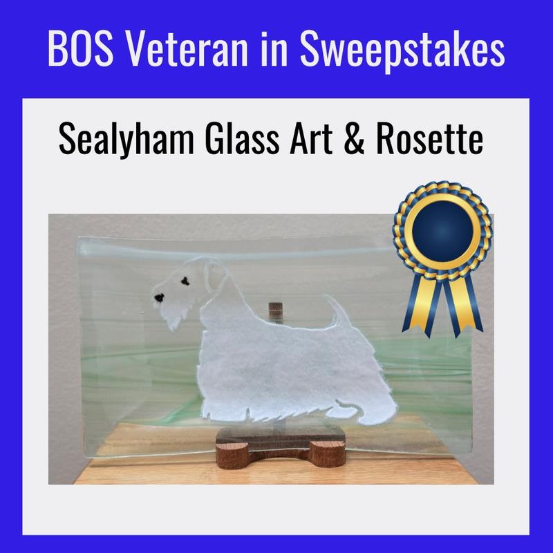 ASTC 2026 Sweepstakes Best Opposite Sex Veteran 