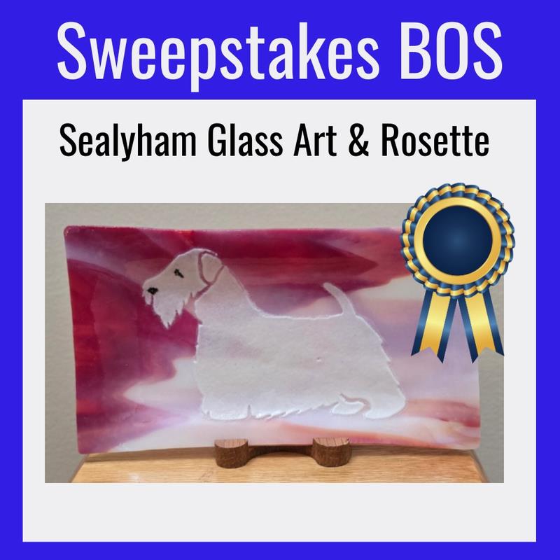 ASTC 2026 Sweepstakes Best Opposite Sex