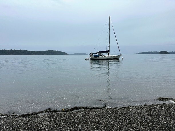Reggie Flotilla