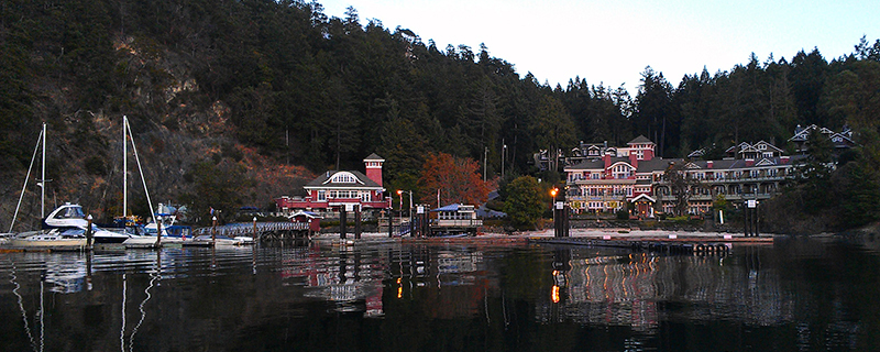 Reggie Flotilla