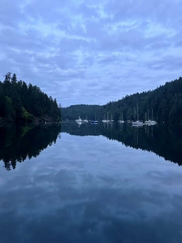 Reggie Flotilla