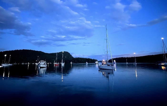 Reggie Flotilla