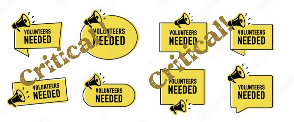 Volunteer Critical
