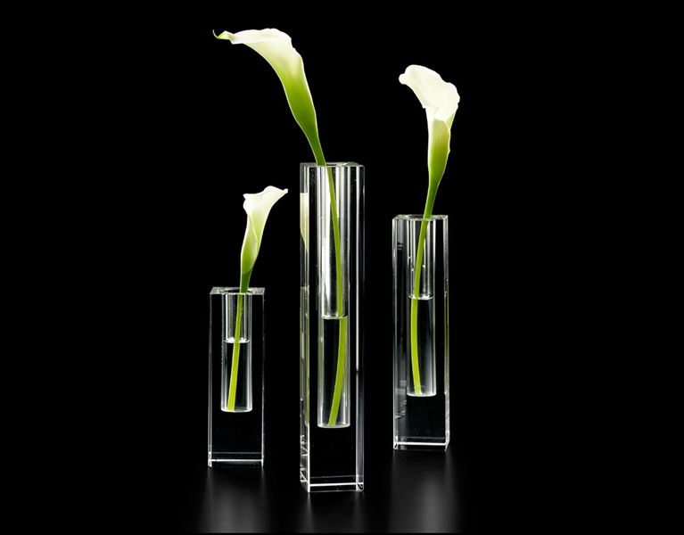 Glass Water and Flowers with Allen Reamer