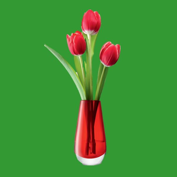 Vibrant Flowers with Allen Reamer