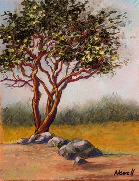 Trees and Rocks with Cora Newell