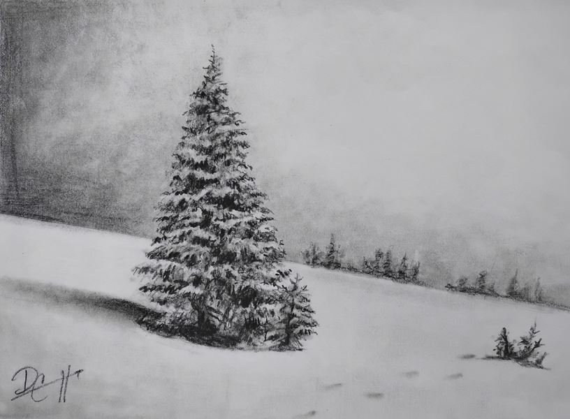 Pine Tree Winter with David Coutts