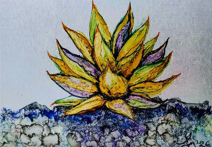 Agave Colorata with Evelyn McPeak