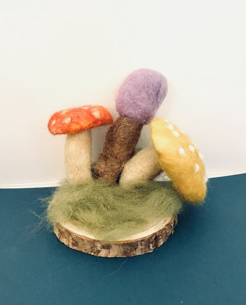 Beginning Needle Felting with Janet Sorrell