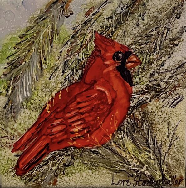 Curious Cardinal with Lori Stadtmueller