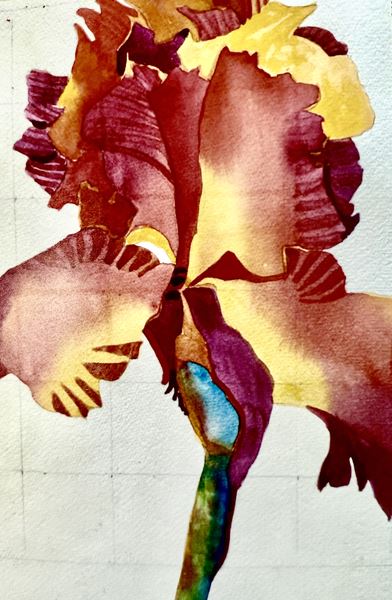 Try Me Watercolor - Iris with Mary Wolke